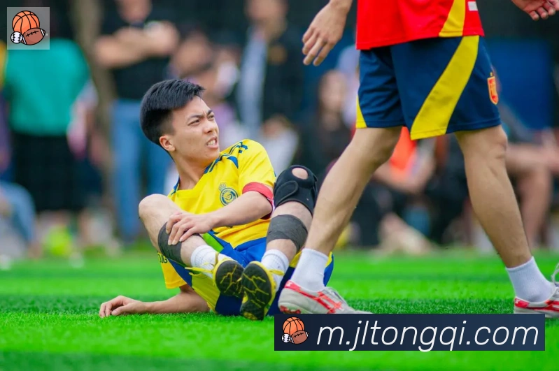 ayx在线登录入口服务体系