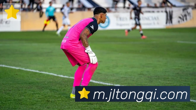 App Interface Preview