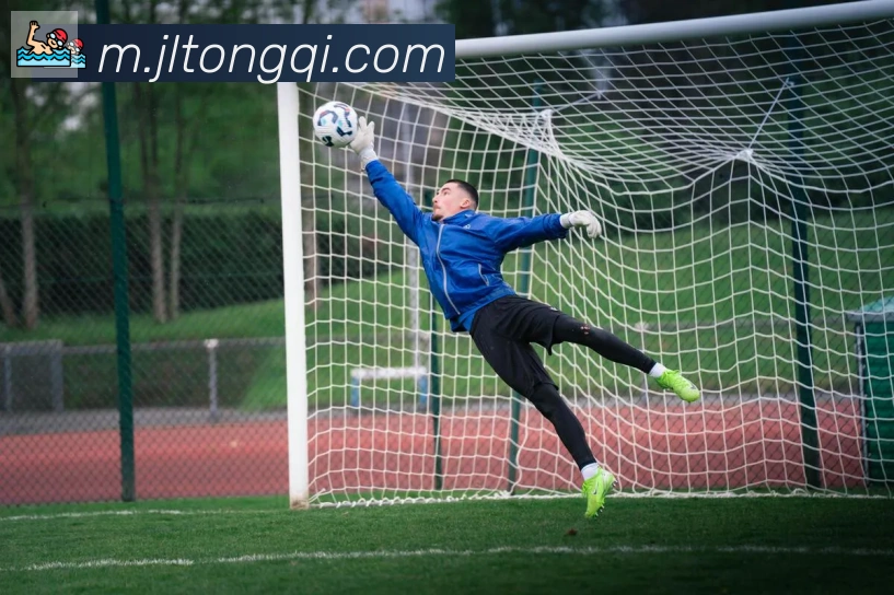 ayx在线登录入口荣誉