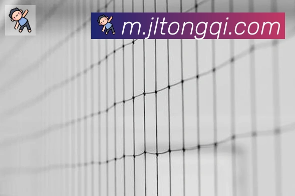 ayx在线登录入口荣誉