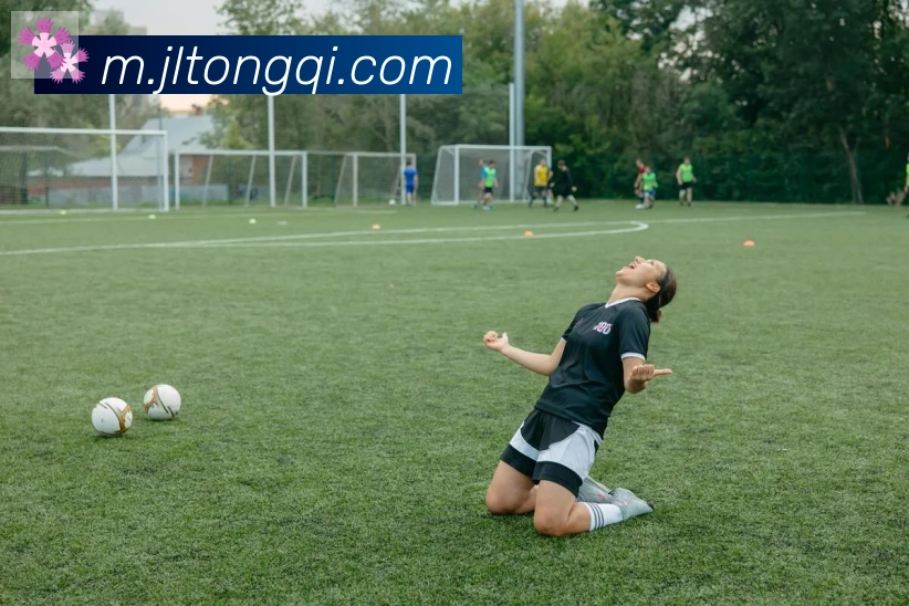 ayx在线登录入口荣誉